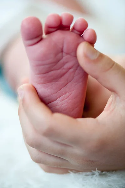 Voeten van een baby. babys benen. — Stockfoto