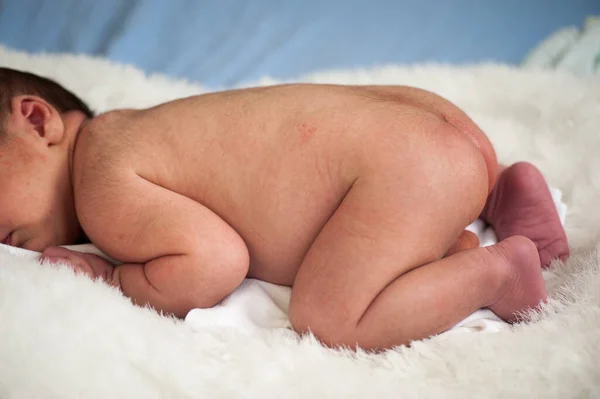 Hayatının ilk haftasında doğan bir bebek. — Stok fotoğraf