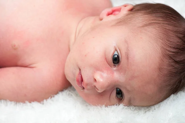 Newborn baby in first week of his life — Stock Photo, Image