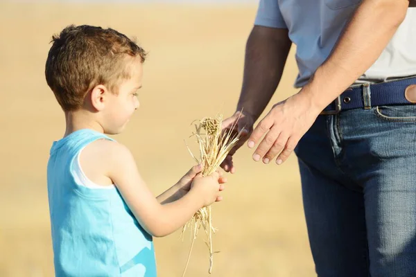 Araplar doğanın tadını çıkarıyor.