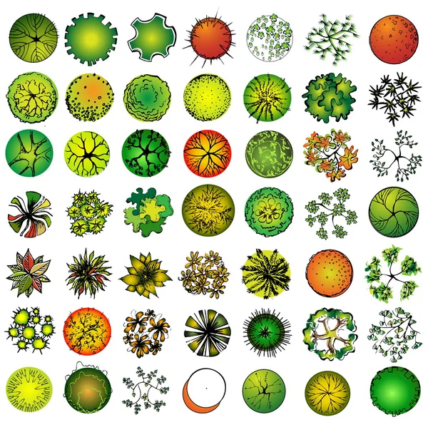 Набір символів дерева для архітектурного або ландшафтного дизайну — стоковий вектор