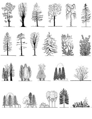 bir ağaç silüetler, dizi için mimari veya peyzaj tasarım