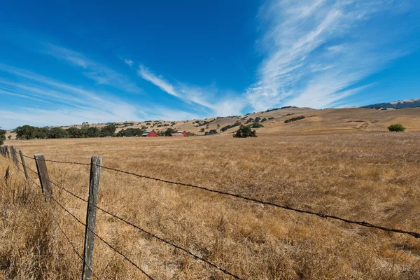 Farm — Stock Photo, Image