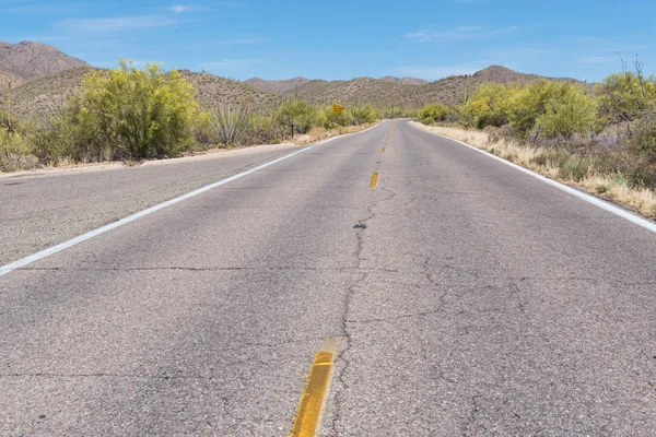 Desert highway — Stockfoto