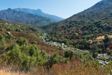 Sekoya Ulusal Parkı