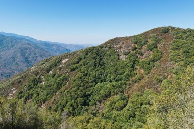 Sekoya Ulusal Parkı