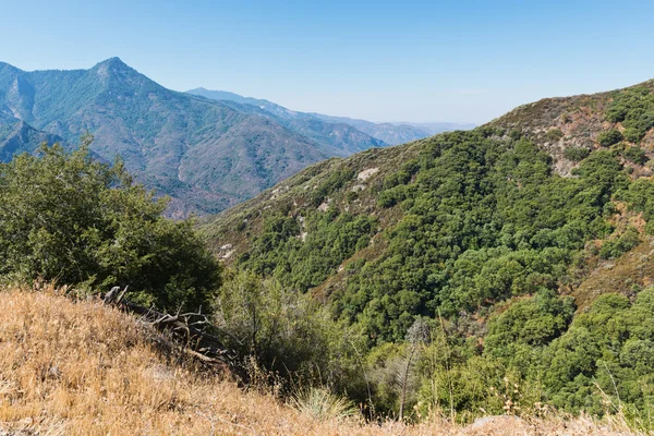 Sequoia National Park — Stock Photo, Image