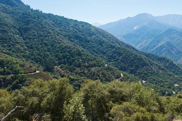 Sekoya Ulusal Parkı