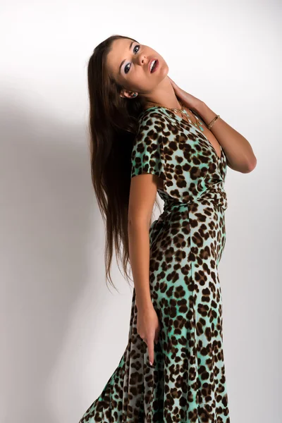 Impressão de leopardo — Fotografia de Stock