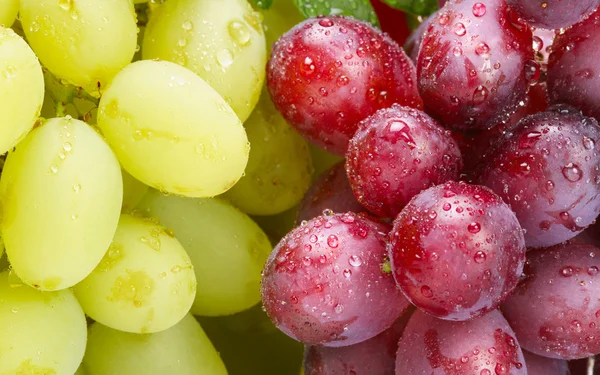 Friss zöld és rose szőlő — Stock Fotó