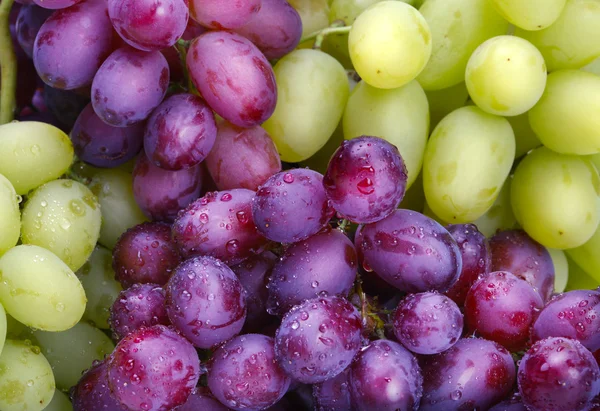 Yeşil ve gül üzümleri arka planı — Stok fotoğraf