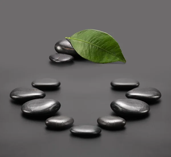 Черные камни с зеленым листом — стоковое фото