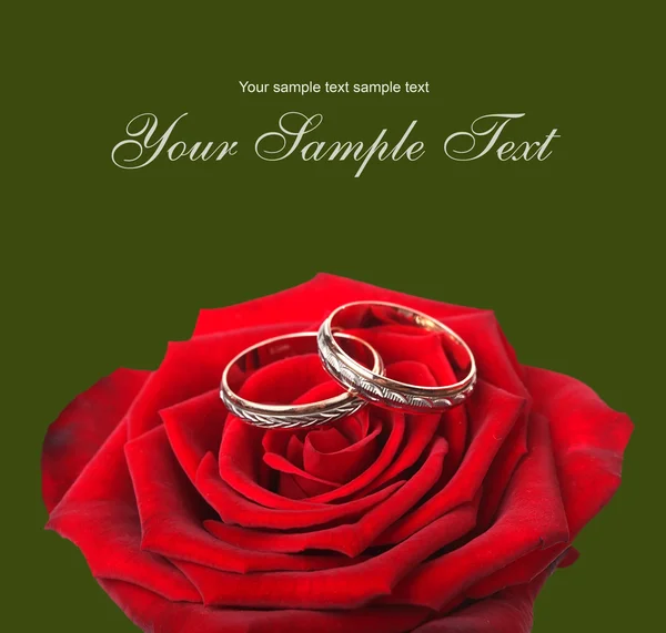 结婚戒指和上红玫瑰 — 图库照片