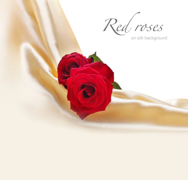 丝绸背景上的红玫瑰 — 图库照片
