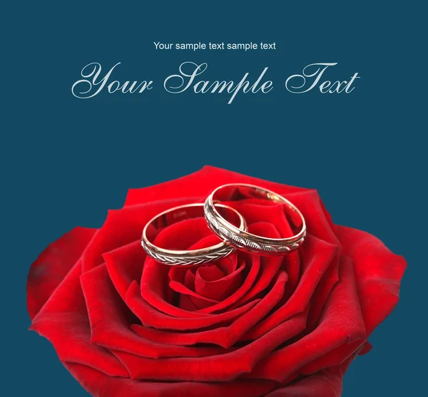 Anéis de casamento e em umas rosas vermelhas — Fotografia de Stock