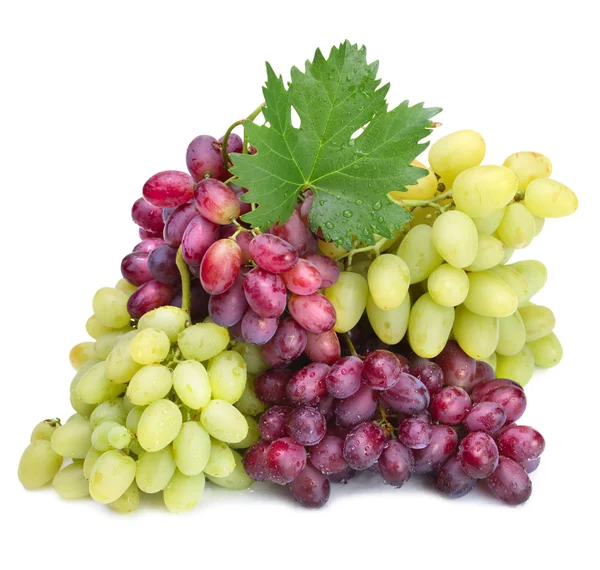 Roze en groene druiven met blad — Stockfoto