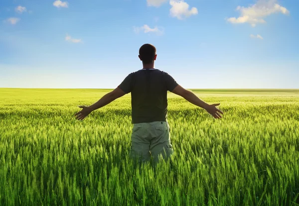 Homem no campo de trigo e luz solar — Fotografia de Stock