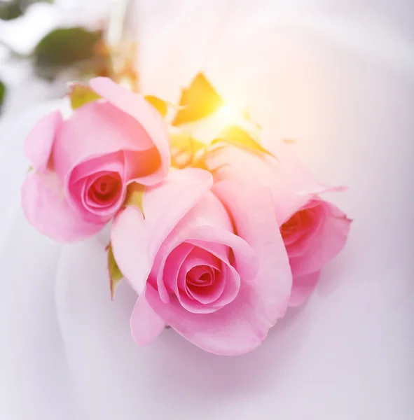 在白色的丝绸上的粉红玫瑰 — 图库照片