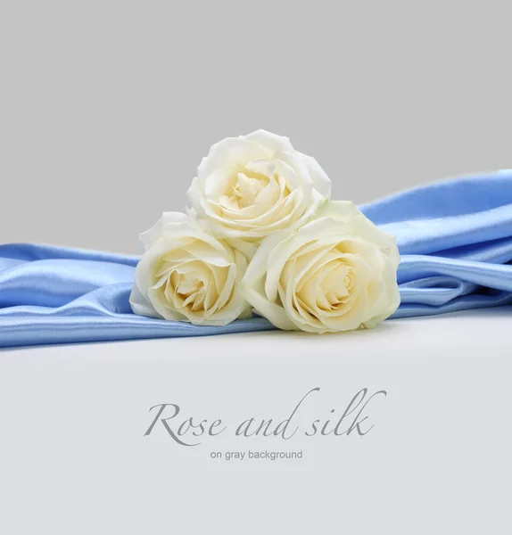 Rosas sobre fundo de seda — Fotografia de Stock