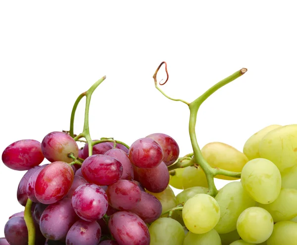 Свежий зеленый и розовый виноград — стоковое фото