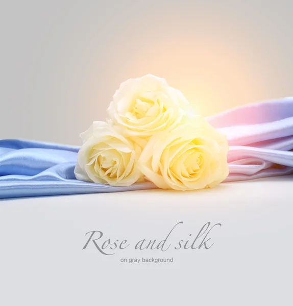 丝绸背景上的玫瑰 — 图库照片