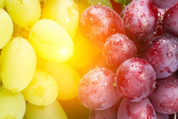 Fresh green and rose grapes — Stock Photo, Image