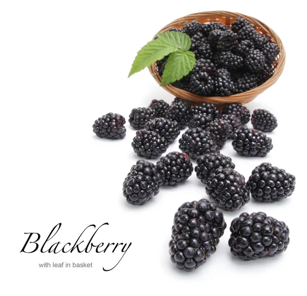 与叶在篮子里的新鲜黑莓 — 图库照片