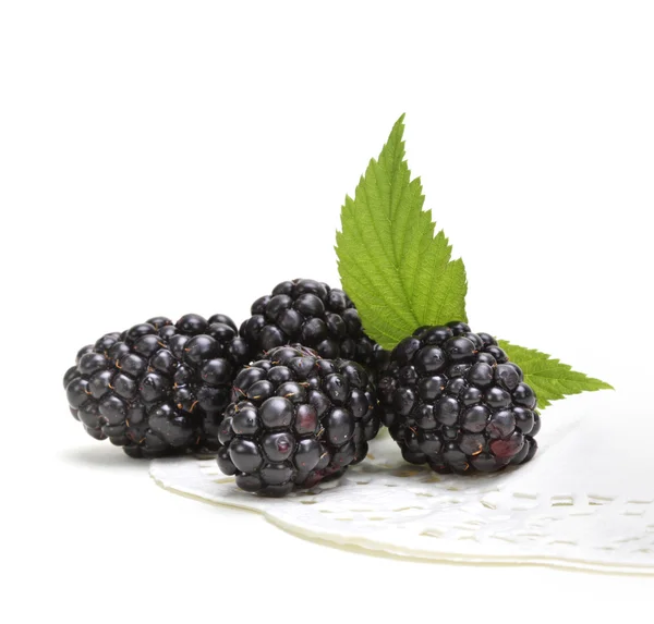 Nové blackberry s listy — Stock fotografie