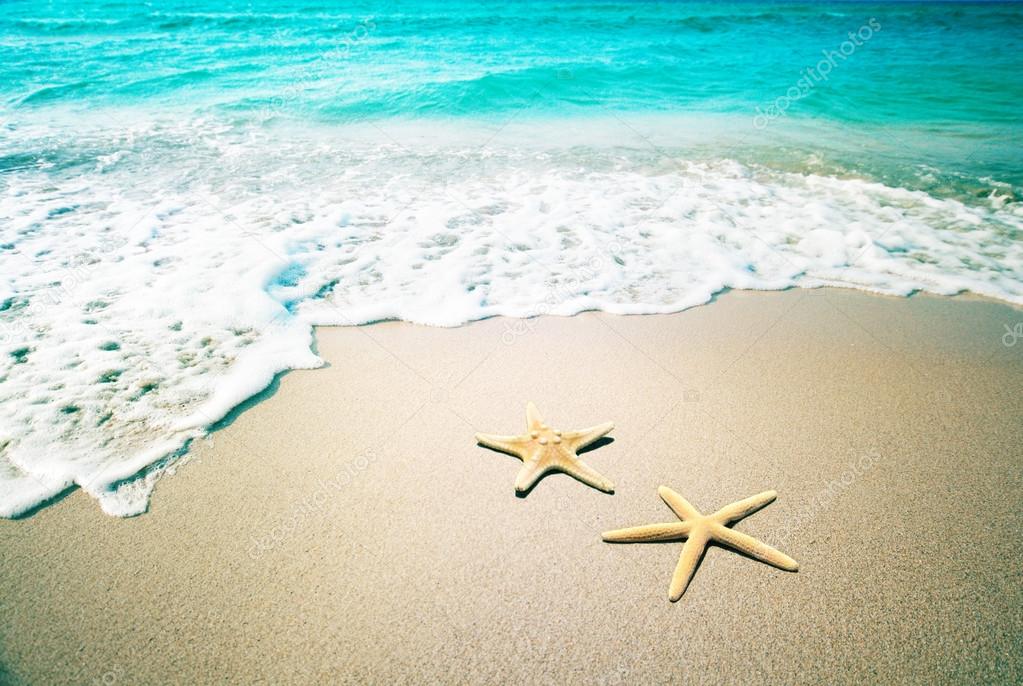 Starfish on a beach sand. Vintage retro style