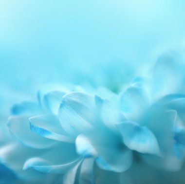Soft focus flower background with copy space. Made with lensbaby clipart