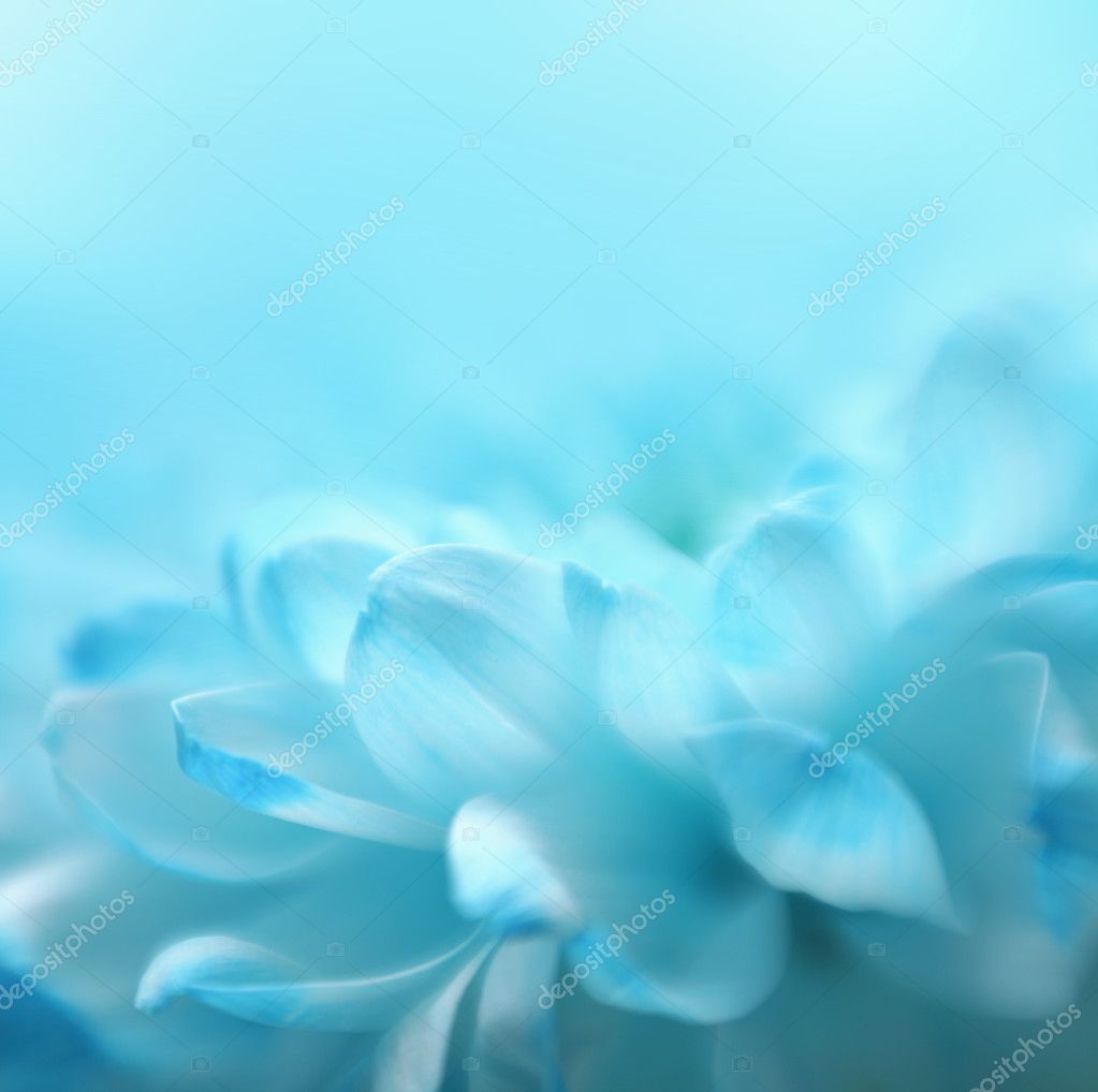 Soft Focus Flower Background With Copy Space Made With Lensbaby Royalty Free Photo Stock Image By C Tihon6 47266713