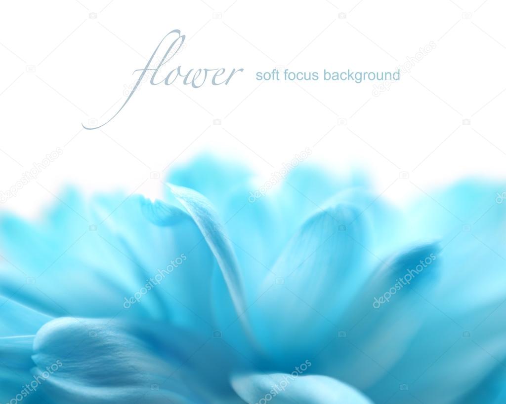 Soft focus flower background with copy space. Made with lens-bab