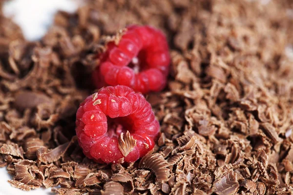 Schokoladenkuchen — Stockfoto