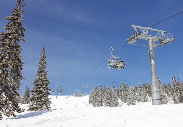 Sześć snowboardzistów jazda wyciągu krzesełkowego w lesie — Zdjęcie stockowe