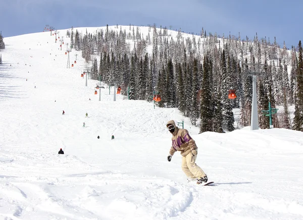 Hombre montando una tabla de snowboard frente al teleférico —  Fotos de Stock