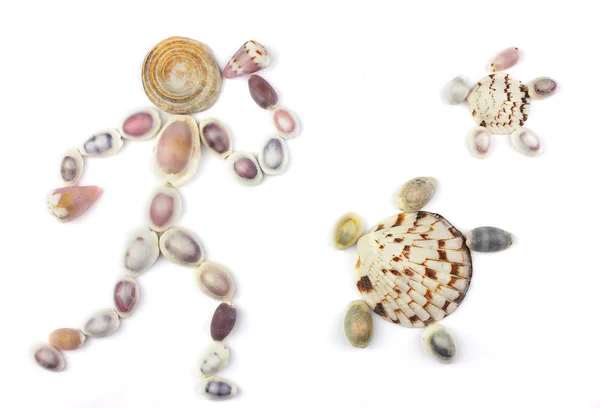 2 つのカメの人間の形の貝殻 — ストック写真