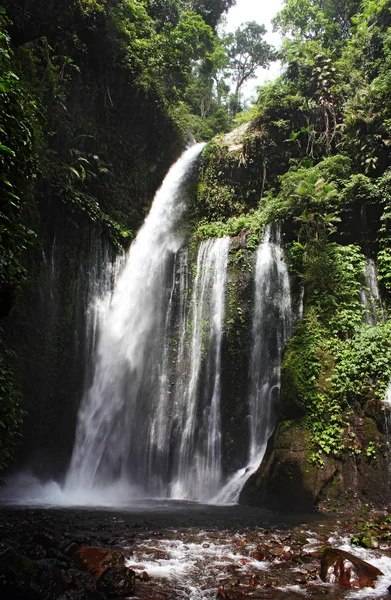 Vista de la cascada en la selva — Foto de Stock