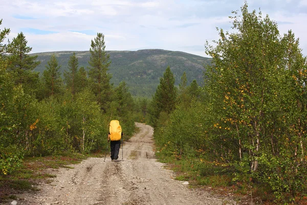 Chica solitaria caminando en un camino forestal en las montañas — Foto de Stock