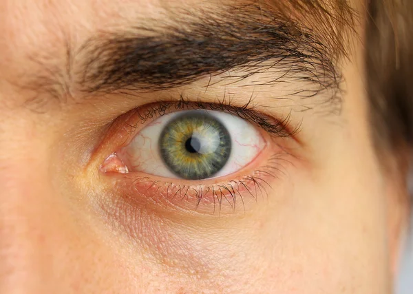 Human eye and eyebrow close-up — Stock Photo, Image