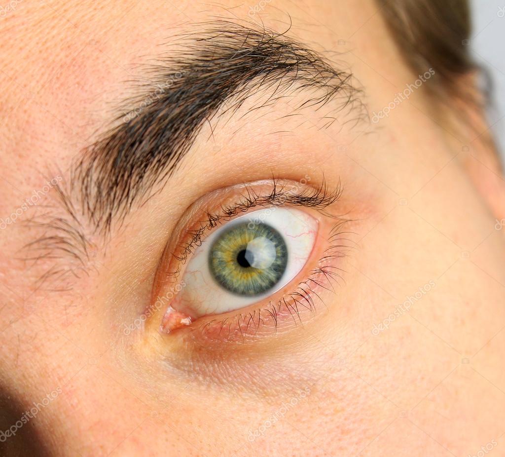 Wide open human eye and eyebrow — Stock Photo © worklater 34217157
