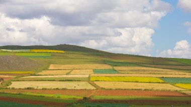 çok renkli alanlar yamalari ile kırsal manzara