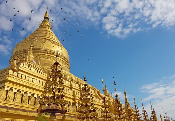 Pagoda Shwezigon (Paya) con palomas voladoras en Bagan — Foto de Stock