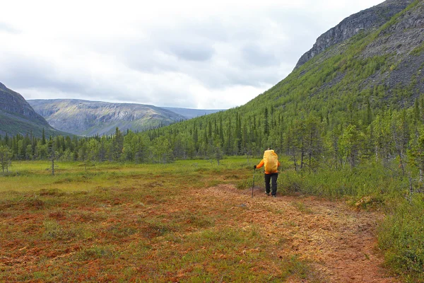 Traveler goes through a swamp with a backpack in the mountains — Stock Photo, Image