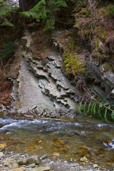 喀尔巴阡山脉一条山溪的岩岸 高图像质量 — 图库照片