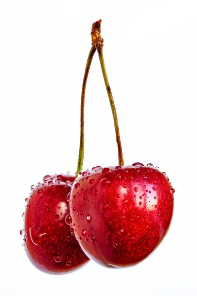 Cherry Berries Dew Drops White Background Close Photo Portrait Orientation — Stok fotoğraf