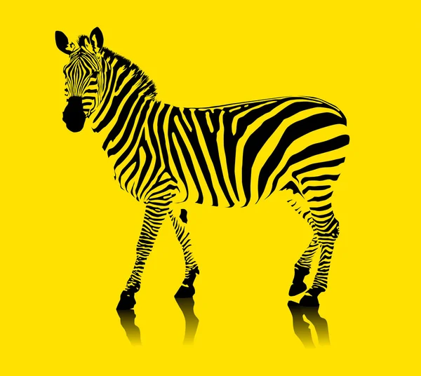 Gelbes Zebra — Stockvektor