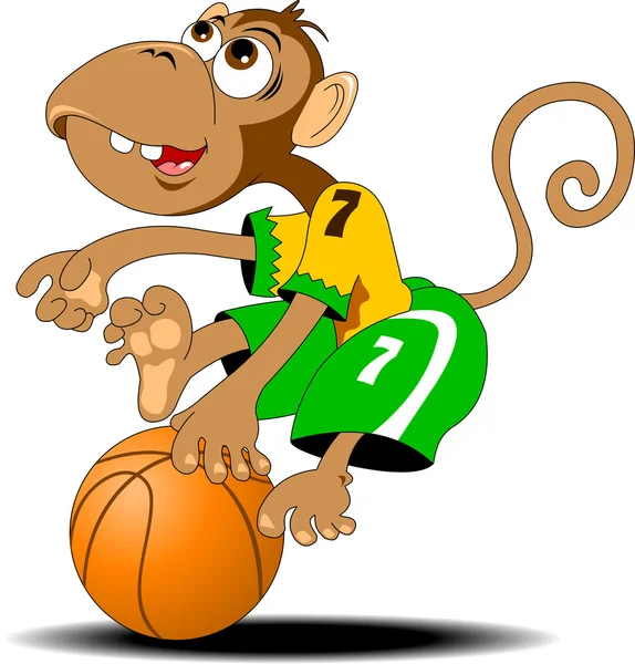 Monkey and basketball — Stock Vector