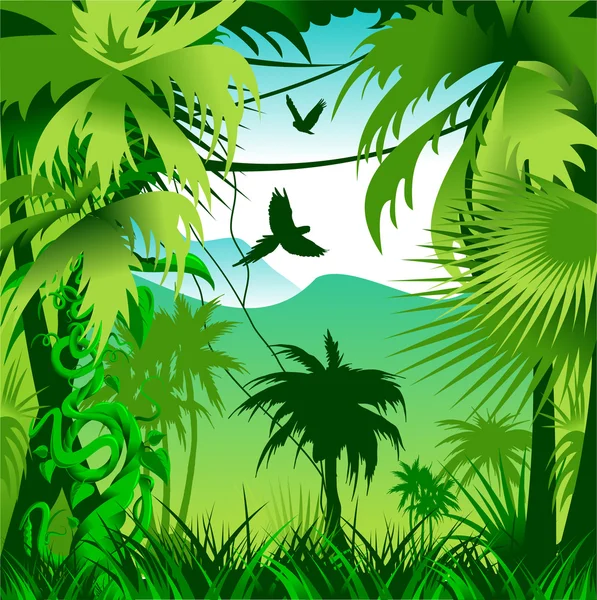 Jungla — Vector de stock