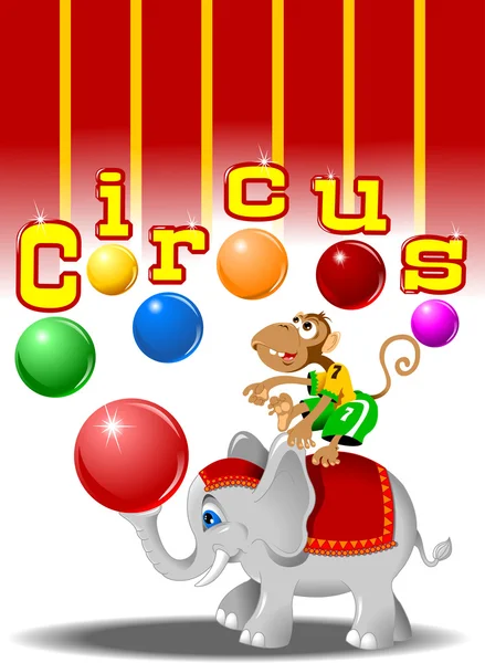 Circus olifant — Stockvector