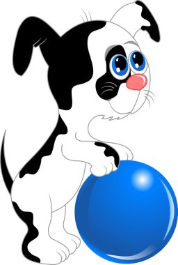 beyaz köpek